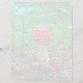 Pilz - 8,5" x 11" Stationierblech (Vorne/Hinten)