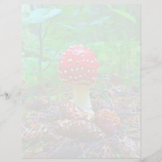 Pilz - 8,5" x 11" Stationierblech (Rückseite)