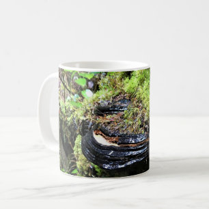 Pilz auf einem Baum, Cape Enttäuschung, WA Kaffeetasse