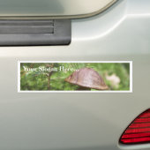 Pilz auf Moos Autoaufkleber (Auf Auto)