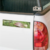 Pilz auf Moos Autoaufkleber (Auf Lkw)