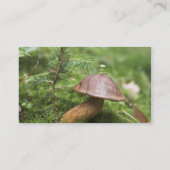 Pilz auf Moos Visitenkarte (Rückseite)