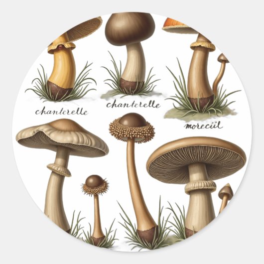 Pilz Botanik Runder Aufkleber (Vorderseite)