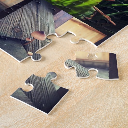 Pilz-Collage Puzzle (Seite)