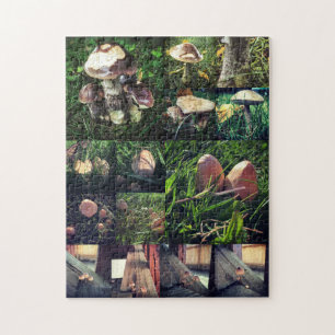 Pilz-Collage Puzzle