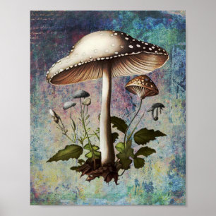 Pilz, digitaler Vintager botanischer Pilz Poster