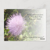 Pilz-Felsen Postkarte (Rückseite)