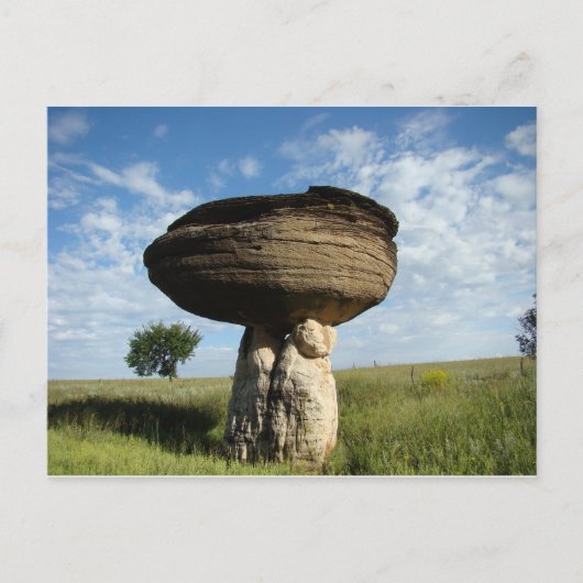 Pilz-Felsen Postkarte (Vorderseite)