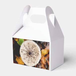 Pilz Geschenkschachtel