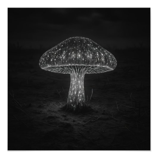 Pilz-Glühen - Fotodruck (Vorne)