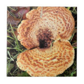 Pilz im Wald Fliese (Vorderseite)