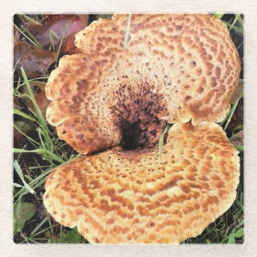 Pilz im Wald Glasuntersetzer (Vorderseite)