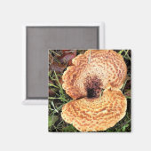 Pilz im Wald Magnet (Vorderseite/Rückseite)