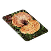 Pilz im Wald Magnet (Rechte Seite)