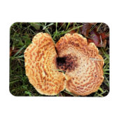 Pilz im Wald Magnet (Horizontal)