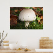 Pilz im Wald Poster (Küche)