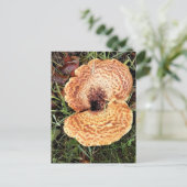 Pilz im Wald Postkarte (Stehend Vorderseite)