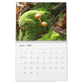 Pilz-Kalender Kalender (Mär 2026)