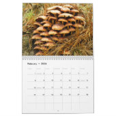 Pilz-Kalender Kalender (Feb 2026)