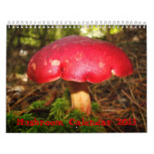 Pilz-Kalender Kalender (Titelbild)
