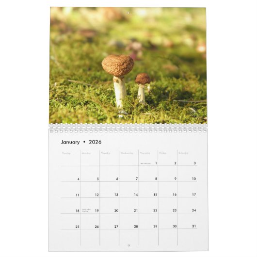 Pilz-Kalender Kalender (Jan 2026)