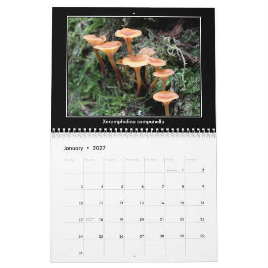 Pilz-Kalender Kalender (Jan 2027)