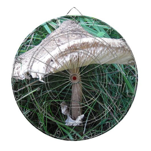 Pilz mit Ō Hut Dartscheibe (vorne)