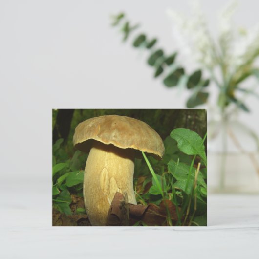 Pilz nah postkarte (Stehend Vorderseite)