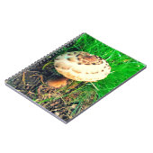 Pilz-Notebook Notizblock (Linke Seite)