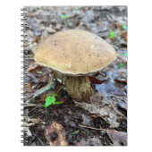 Pilz-Notebook Notizblock (Vorderseite)