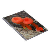Pilz-Notebook Notizblock (Rechte Seite)