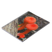 Pilz-Notebook Notizblock (Linke Seite)