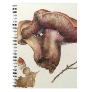 Pilz Notizblock