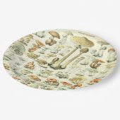 Pilz-Pappteller Pappteller (Schrägansicht)