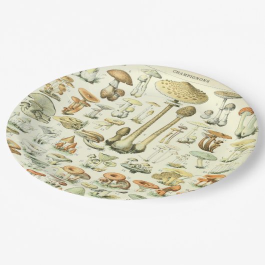 Pilz-Pappteller Pappteller (Schrägansicht)