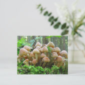 Pilz-Party Postkarte (Stehend Vorderseite)