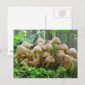 Pilz-Party Postkarte (Vorne/Hinten)