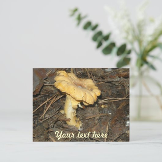 Pilz Postkarte (Stehend Vorderseite)