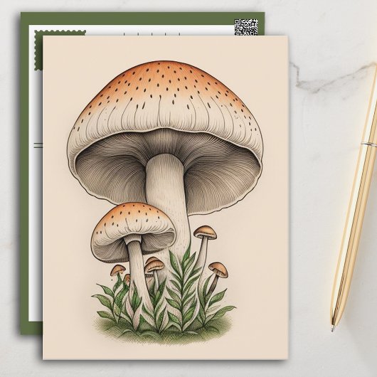 Pilz Postkarte