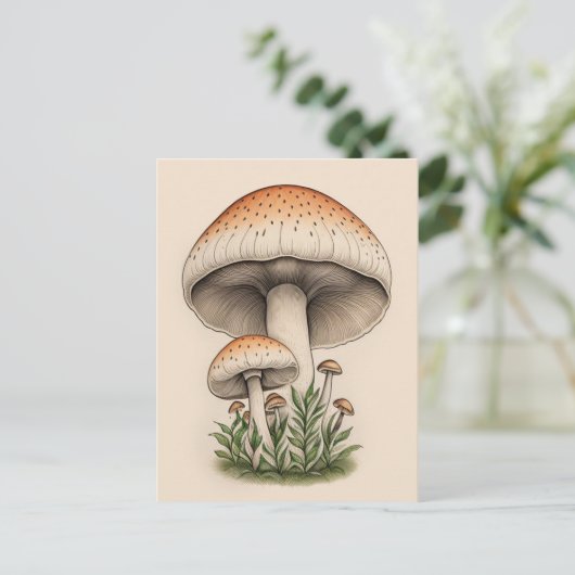 Pilz Postkarte (Stehend Vorderseite)