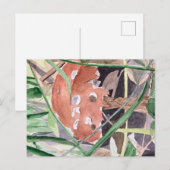 Pilz Postkarte (Vorne/Hinten)