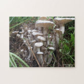 Pilz-Puzzlespiel Puzzle (Horizontal)