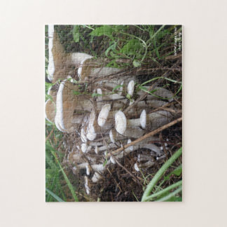 Pilz-Puzzlespiel Puzzle