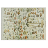 Pilz-Schneidebrett Schneidebrett (Vorderseite)