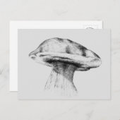 Pilz Steinpilz Zeichnung Postkarte (Vorne/Hinten)