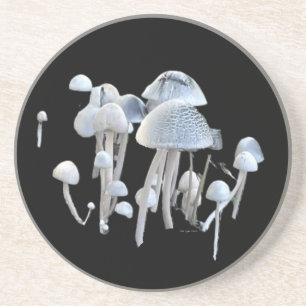 Pilz Untersetzer