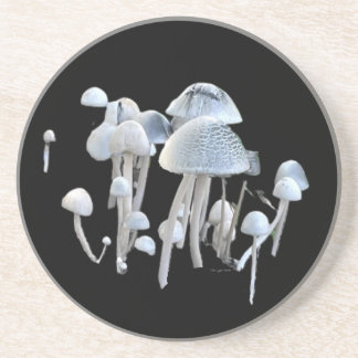Pilz Untersetzer