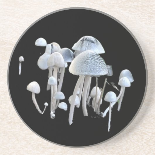 Pilz Untersetzer (Vorne)