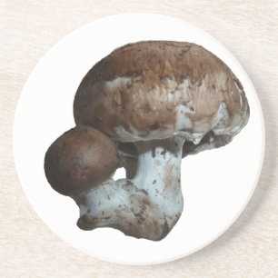Pilz-Untersetzer Sandstein Untersetzer