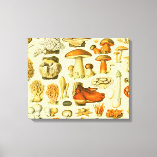 Pilz Vintage Fliegenpilz Antike Kunst Leinwanddruck